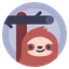 A cute little sloth as a placeholder for your picture